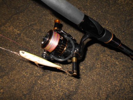 テトラ際のチヌ＆キビレが好調(淀川釣行)