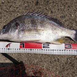 強風でも釣りに行く❗