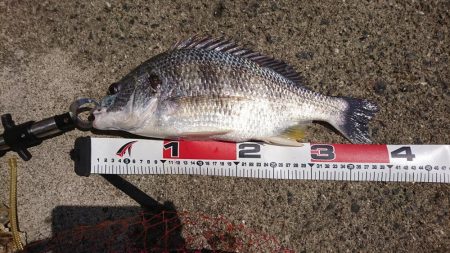 強風でも釣りに行く❗