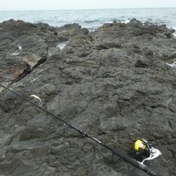 シーバス調査～門司少年自然の家前(地磯）