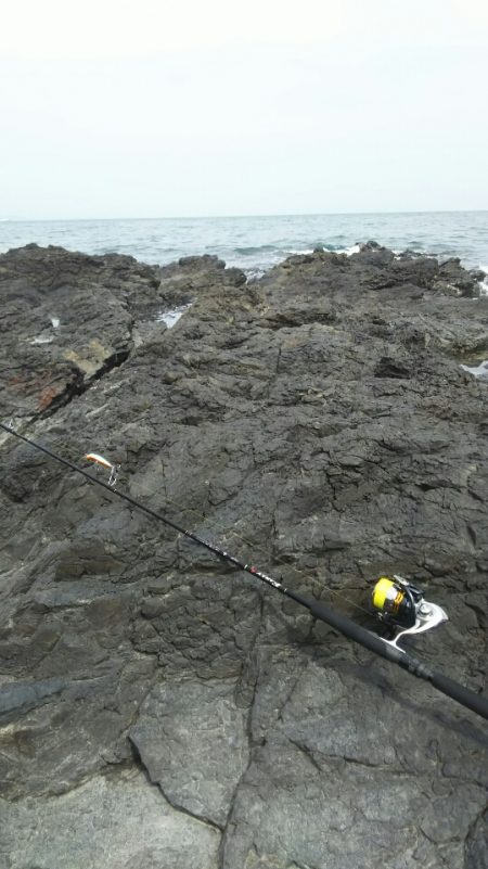 シーバス調査～門司少年自然の家前(地磯）
