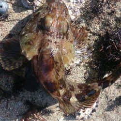 もう少しサイズほしいな