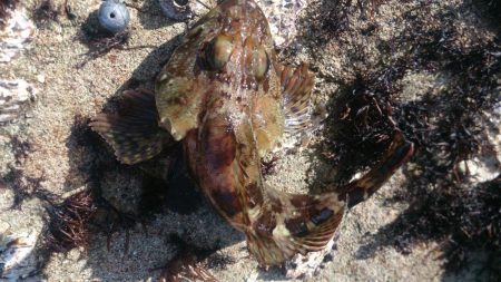 もう少しサイズほしいな