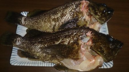 でたっ！モンスター