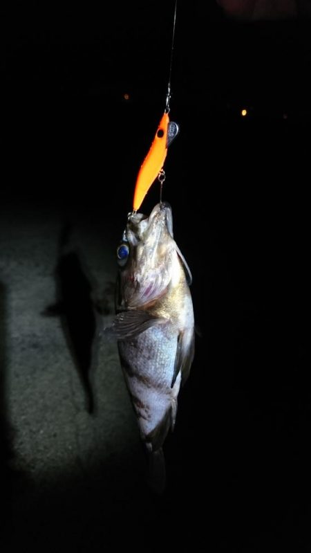 久しぶりの釣行