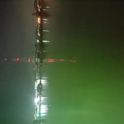 狙った魚は釣れない