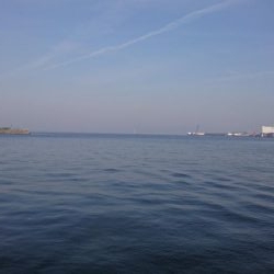 今年4回目の釣行でシーバス