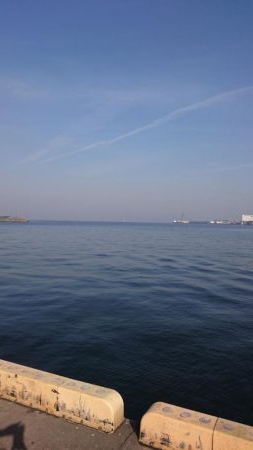 今年4回目の釣行でシーバス