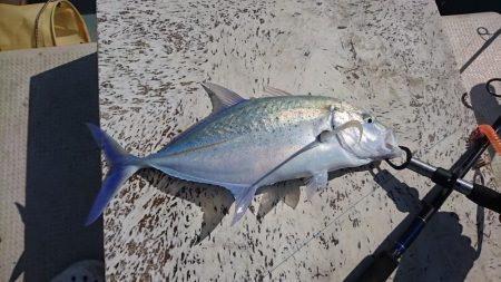 オフショア初挑戦GTはお留守