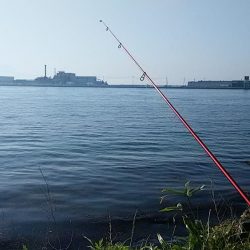 シーズン初の境水道釣行