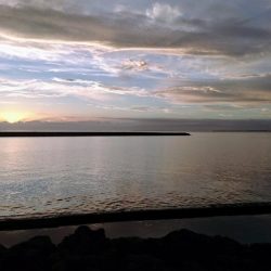 今日は無風 トップでロウニンアジ