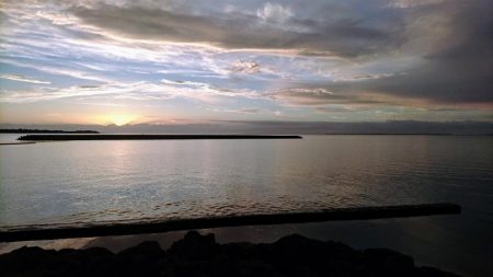 今日は無風 トップでロウニンアジ