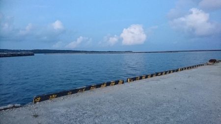 久しぶりのターポン