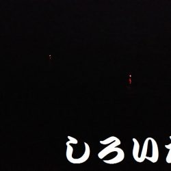 和歌山に行きました！