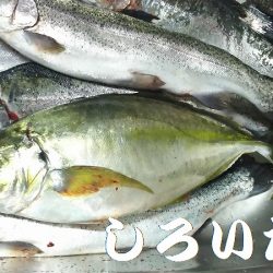 水宝さんにお世話になりました。