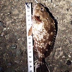 期待してた程では