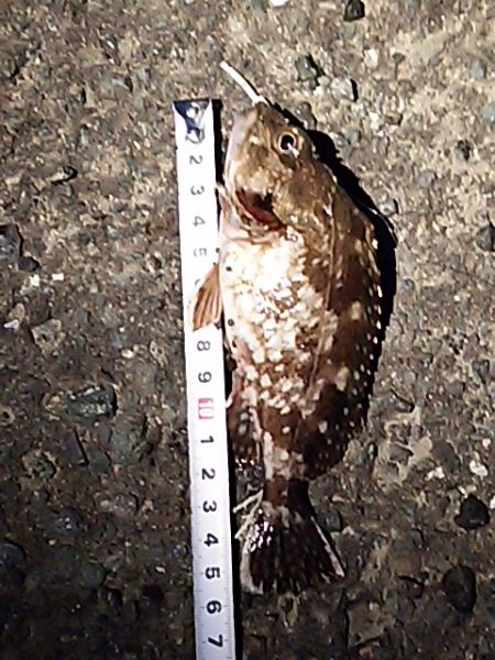 期待してた程では