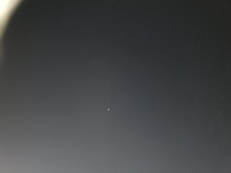 甲子園浜にバチ調査