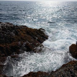 青物釣れねーなー