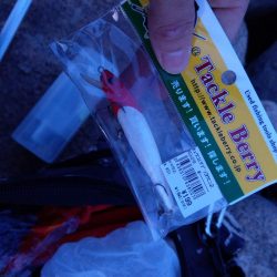 苦手の潮で挑戦