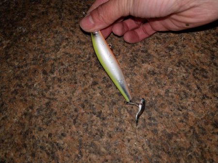 チーバスとボラとベイト