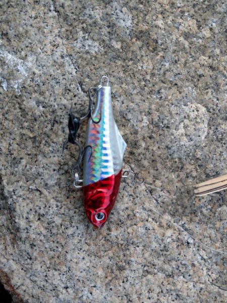 本命は釣れなくてもキミは釣れるよね!?