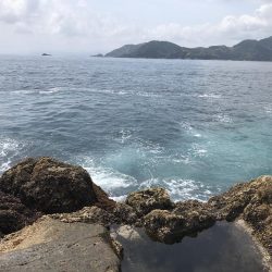 久しぶりにサカナが釣れた。