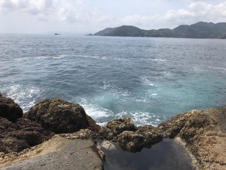 久しぶりにサカナが釣れた。