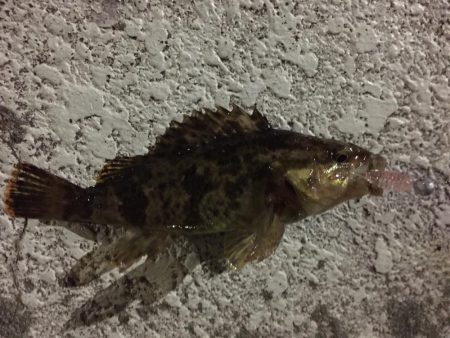 天保山、ボトムゲームでつ抜け達成！