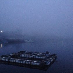 真夜中メバリング