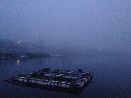 真夜中メバリング