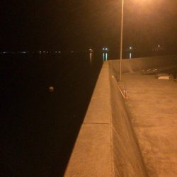 メバルプラッキング