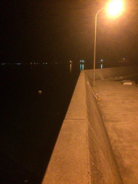 メバルプラッキング