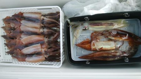 スルメイカ狙い　第二美丸