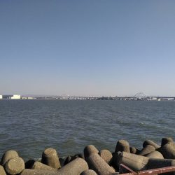 今日もマルチ安打♪♪