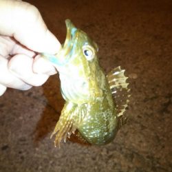 急激に訪れた寒さの中……