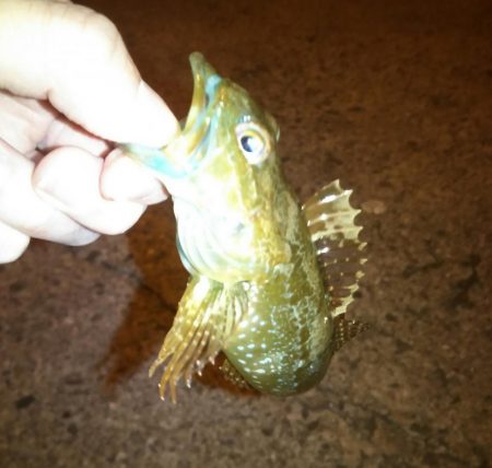 急激に訪れた寒さの中……