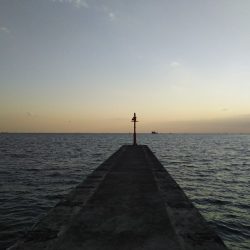 ジグでアカエイ