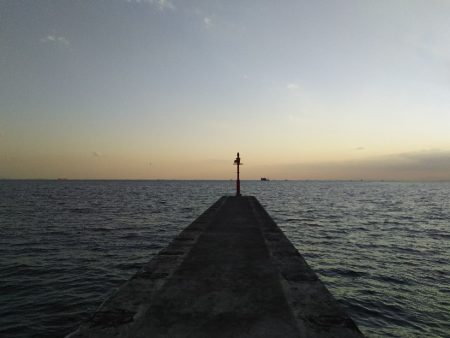 ジグでアカエイ