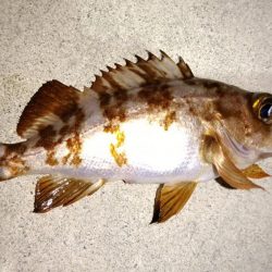 天候不良の前に