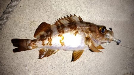 天候不良の前に