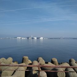 がんばりましたが・・・、