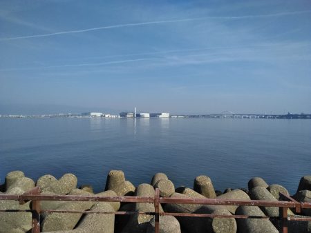 がんばりましたが・・・、