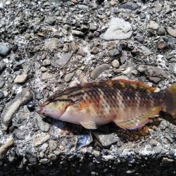 やっと行けた！