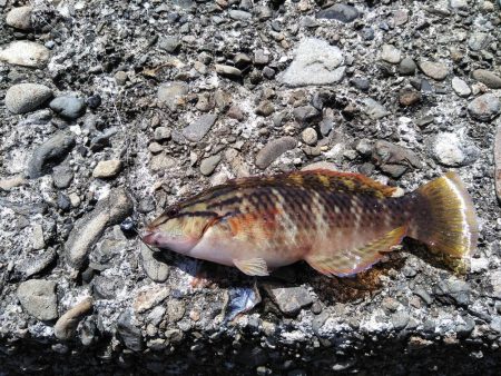 やっと行けた！