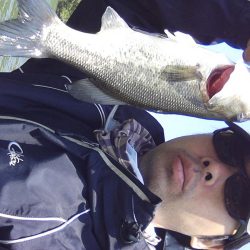 高山ダム釣れ始めています