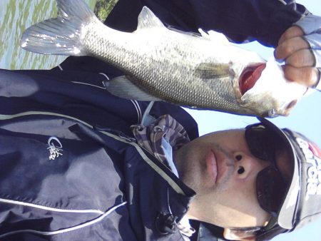 高山ダム釣れ始めています