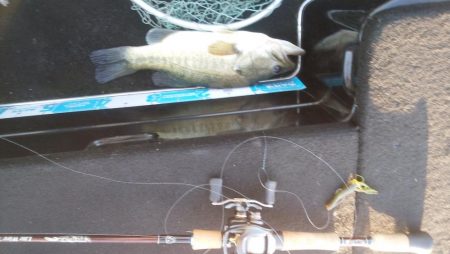 ＧＷ初日シヤーロー好調