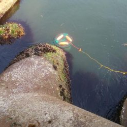 ひらめ釣れましたー