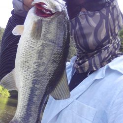 ４月２９日の釣果